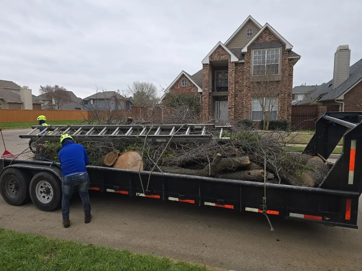 Expert Lot Clearing with proper safety equipment in Suplee